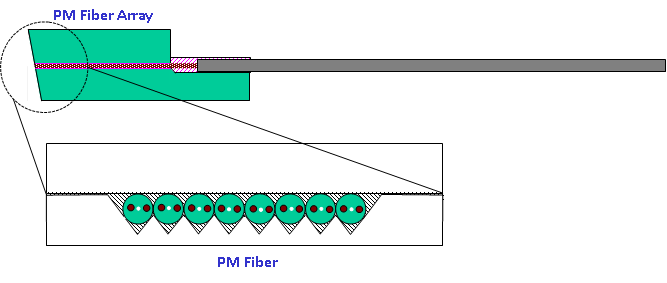 Polarization Maintaining Fiber Array Polarization Maintaining Products