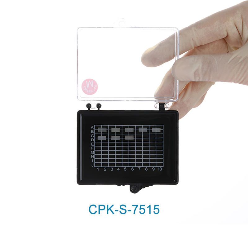 Gel Carrier Box (75×55 mm) Accessories