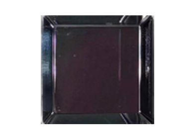 Low-light EBCMOS Semiconductor & Electronics