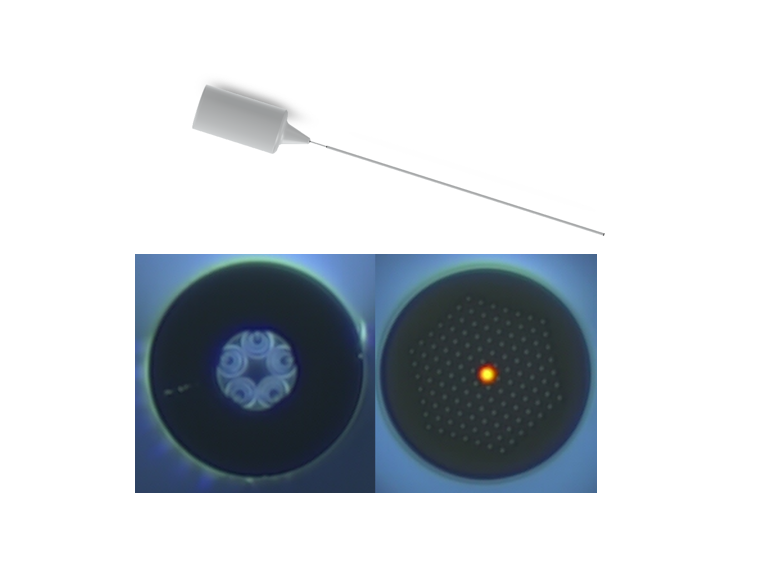 Fiber end cap Optical Fibers