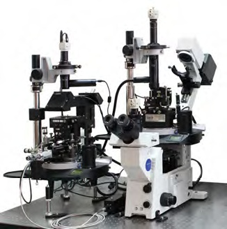 Scanning probe microscope Microscopes